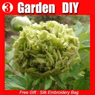   Seed ★ 20 Pond Flowers Seeds Large Willow Peony China Spring Hot