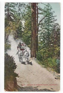 CA antique post card Staging in Yosemite Valley Horses & Coach ##