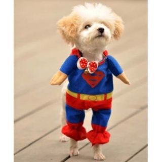 New Superman Soft Dress Clothes & Mantle For Dog Cat