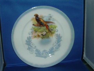 vintage porcelain bird plate