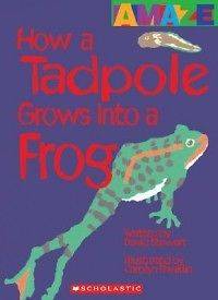How a Tadpole Grows Into a Frog NEW by David Stewart