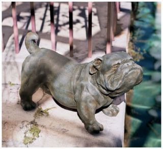   English Bulldog Statue. Home Decor Dog Breed Pet Products & Dog Gifts