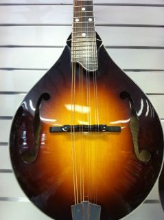 eastman mandolin in Mandolin