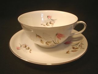Cup & Saucer Royal Duchess Fine China Bavaria Germany Mountain Bell 