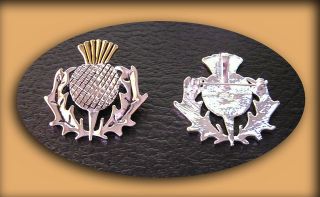 Pewter Scottish Thistle Pin with Gold Overlay    For Kilt 