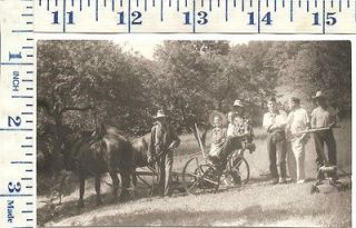 Vintage 1950s Photograph   Old Antique Plow & Horse   Vintage 