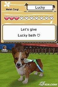 Animal Paradise Nintendo DS, 2008