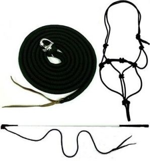 ROPE HALTER, 14 LUNGE LINE LEAD, STICK & Clinton Anderson Book 