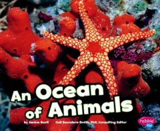 An Ocean of Animals by Janine Scott 2011, Paperback