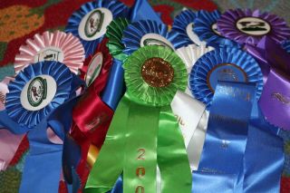 20 horse show ribbons, wef, osf, fairfield, traverse