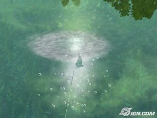Rapala Tournament Fishing Wii, 2006