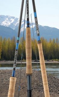 10 foot fishing rod