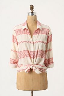 Muted Stripes Buttondown   Anthropologie