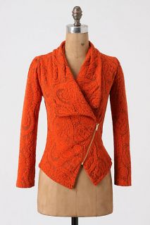 Paisley Gust Sweater Jacket   Anthropologie