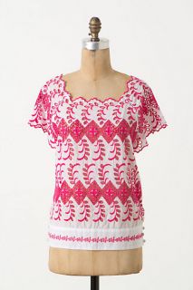 Embroidered Eyelet Blouse   Anthropologie
