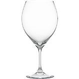Rimini 12 oz. White Wine Glass in Wine Glasses  