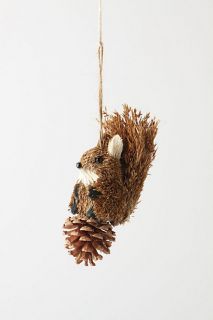 Pinecone Squirrel Ornament   Anthropologie