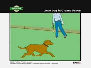 PetSafe Little Dog In Ground Fence   image 10 from the video