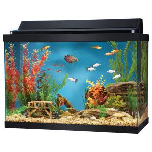 Aquarium Hood » Top Fin® 20 Gallon Aquarium Hood Combo  