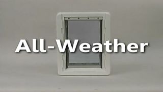 AllWeather Pet Door by Perfect Pet   image 1 from the video