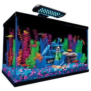 GloFish 10 Gal Aquarium Kit   Starter Kits   Aquariums   