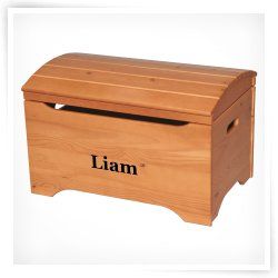 Little Colorado Solid Wood Toy Storage Chest with Carved 