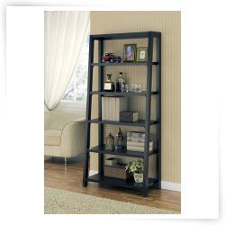 Leaning & Ladder Bookcases  Bookcases  