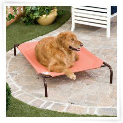 Coolaroo Deluxe Dog Bed with Replacement Cover   Terra Cotta