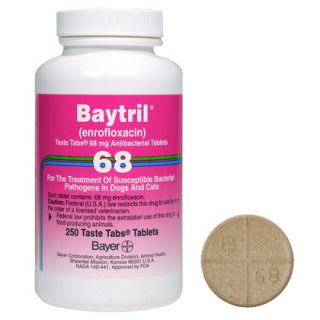 Baytril For Dogs & Cats  Antibiotic Tablet   1800PetMeds