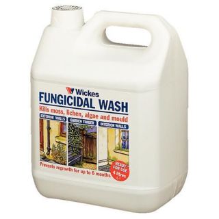 Fungicidal Wash 4L   Surface Preparation & Clean Up   Decorative 