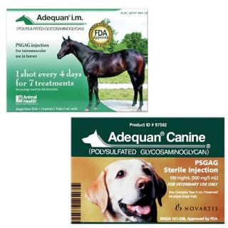 Adequan for Dogs & Horses   Arthritis Pain Medication   1800PetMeds