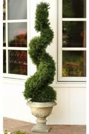 Artificial Plants, Topiary Trees and Silk Plants  HomeDecorators