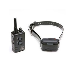 Dogtra Dog Training Collar with Remote (Click for Larger Image)