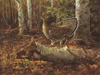 Newly listed Owen Gromme Sunlit Glade   Ruffed Grouse