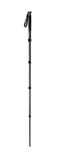 Gitzo GM3551 Monopod