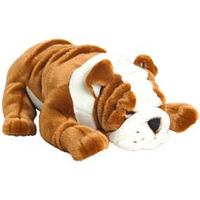 Kuschelwuschel Bulldogge, liegend im Karstadt – Online Shop kaufen