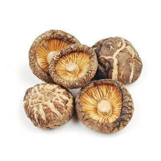shiitake mushroom in Home & Garden