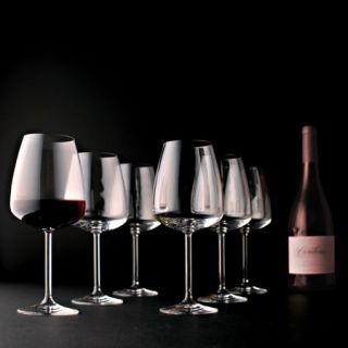 Riedel Eisch Vintec  Set of 6 Burgundy Glasses 