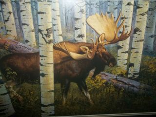   Signed Litho Print Bull Moose in Birch Hayden Lambson LE Numbered