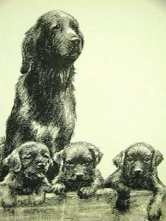 Newly listed Cleanthe IRISH SETTER & PUPPIES 1933 Dog Print Matted
