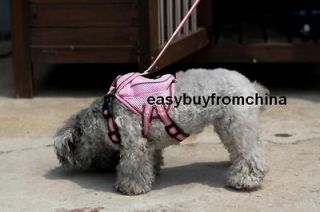 dog harness in Harnesses