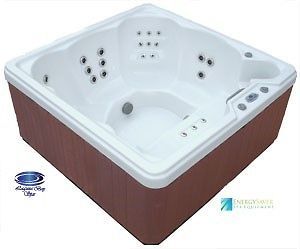 Laguna Bay Spas 5 Person Hot Tub 51 Jets 7 Color LED Lamp Ships within 