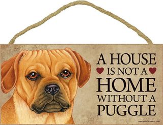 Puggle Indoor Dog Breed Sign Plaque   A House Is Not A Home