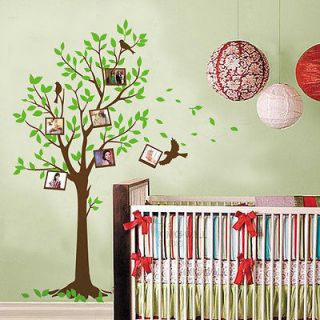 New Photo Frame Tree Birds Wall Stickers Decals Decor Art Mutural 