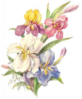 Pink Blue Yellow Iris Flower Bouquet Select A Size Waterslide Ceramic 