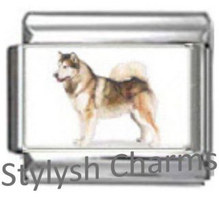   DOG Photo Italian Charm 9mm Link  1x DG031 Single Bracelet Link