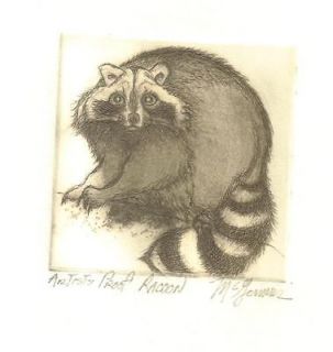 racoon etching by christine mcginnis  20 00