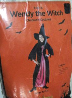 Wendy the Witch Girls Halloween 2 Piece Costume 12   14