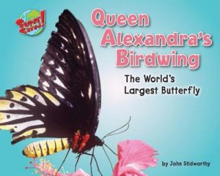 Queen Alexandras Birdwing The Worlds Largest Butterfly SuperSized by 