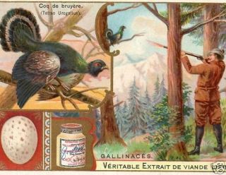 1902 grouse hunting egg gun hunters liebig card  18 50 or 